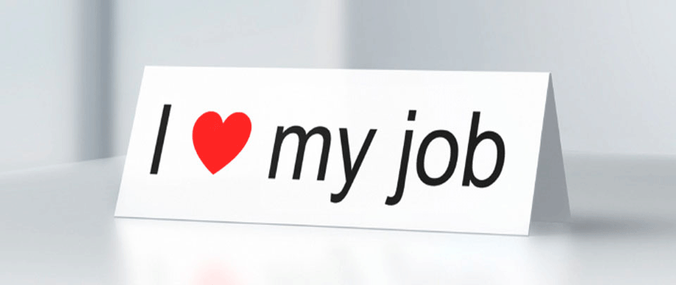 Mey Jobs Mey Jobs